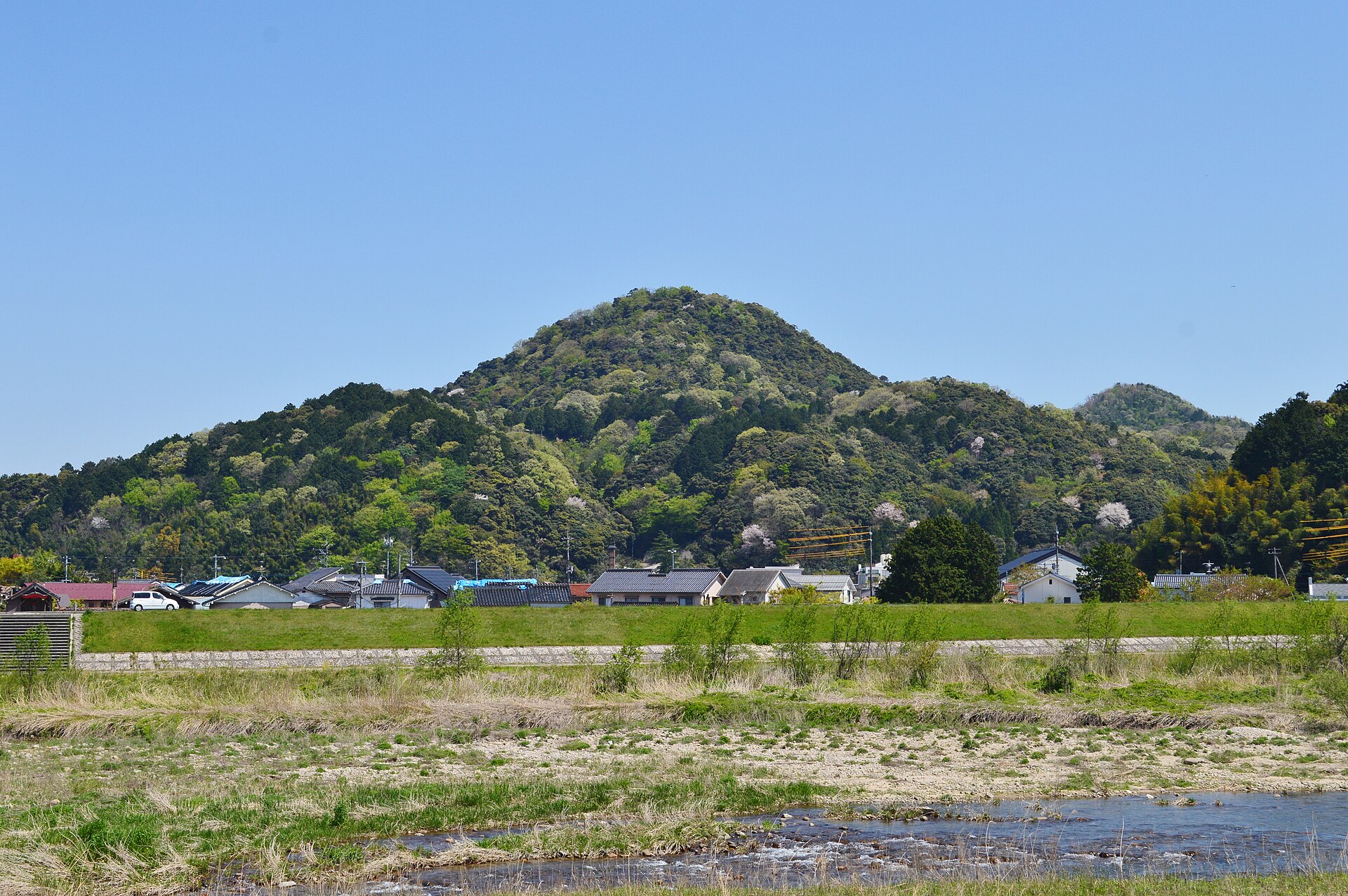田園の向こうにそびえる打吹山